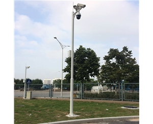 哈密道路监控杆-LB-05