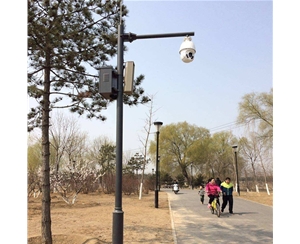 哈密小区监控杆-LB-02